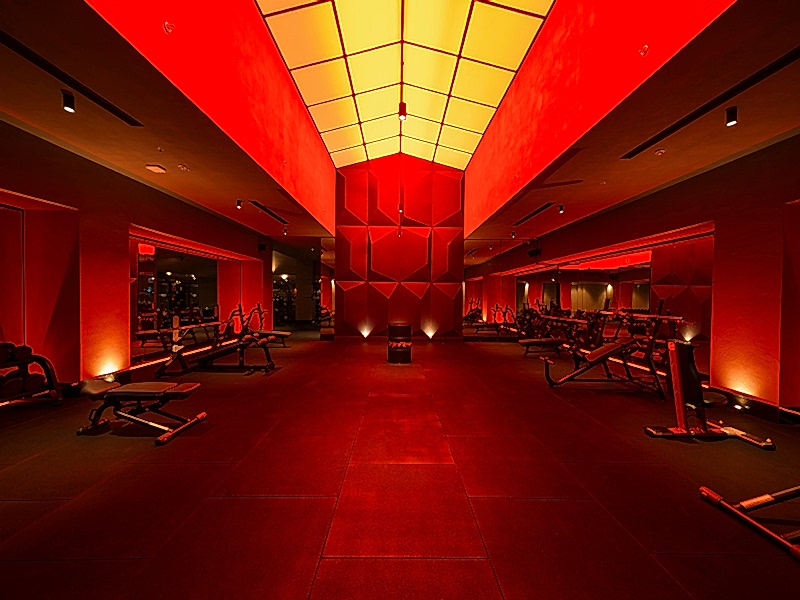 orjin-fitness-palladium